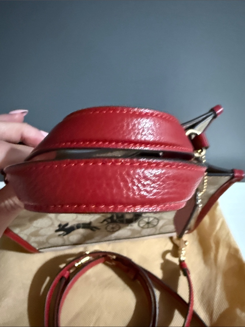 Coach Lunar New Year Dempsey signature canvas with a rabbit and carriage motif - Picture 7 of 15